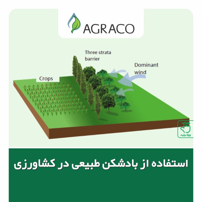 بادشکن